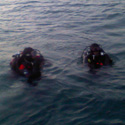 Divers in the Water