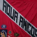 Aqua Amigos Flag